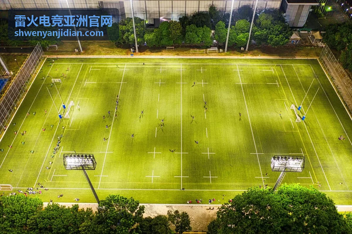雷火电竞亚洲官网参与流程示意配图